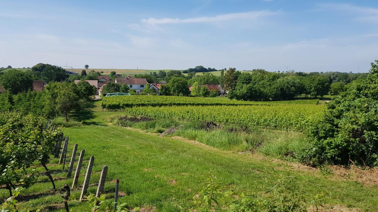 Haus Rebenblick Apartment Dierbach Bagian luar foto