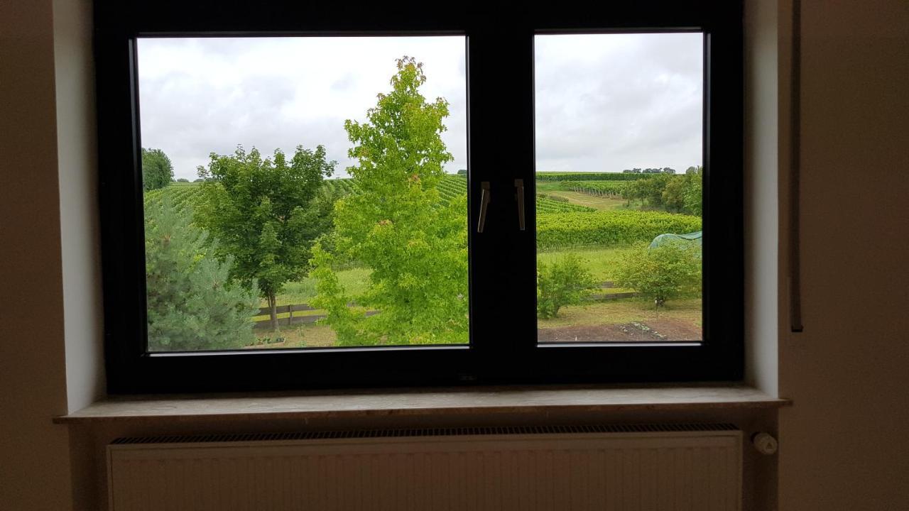 Haus Rebenblick Apartment Dierbach Bagian luar foto
